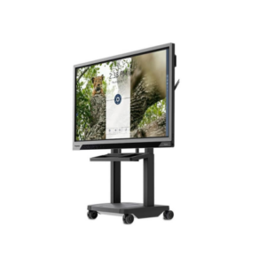 CARRELLO PROWISE IPRO MOBILE LIFT (CON ROTELLE: SALE SCENDE - ELETTRIFICATO)